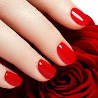 336276322_733082831829139_907767223478314413_n